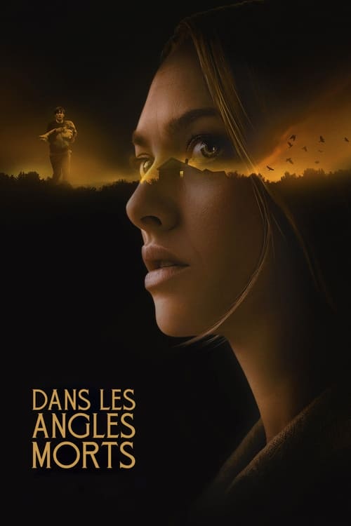 Jaquette Dans les angles morts