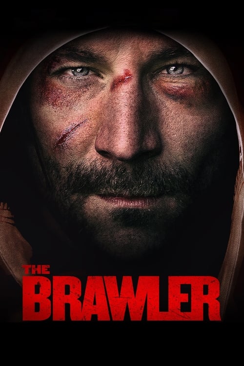 Jaquette The Brawler