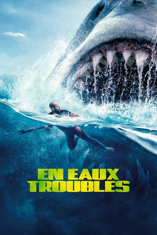 Jaquette En eaux troubles