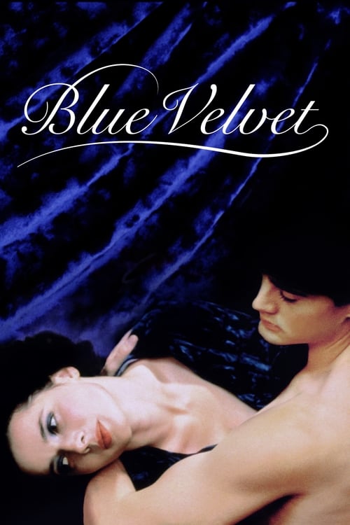 Jaquette Blue Velvet