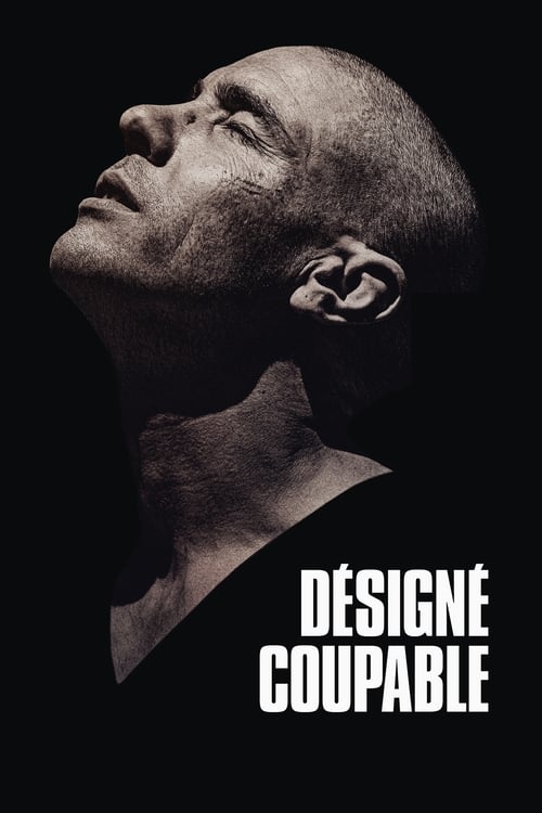 Jaquette Désigné coupable