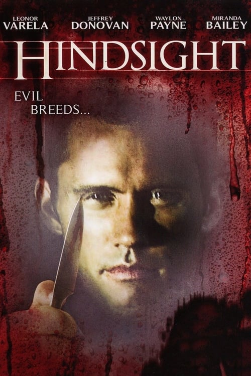 Jaquette Hindsight