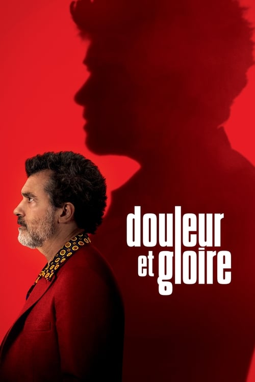 Jaquette Douleur et gloire