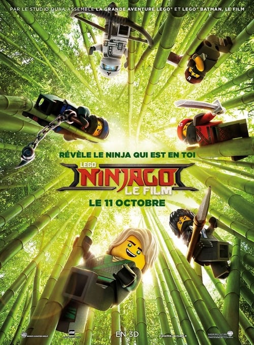 Jaquette Lego Ninjago, le film
