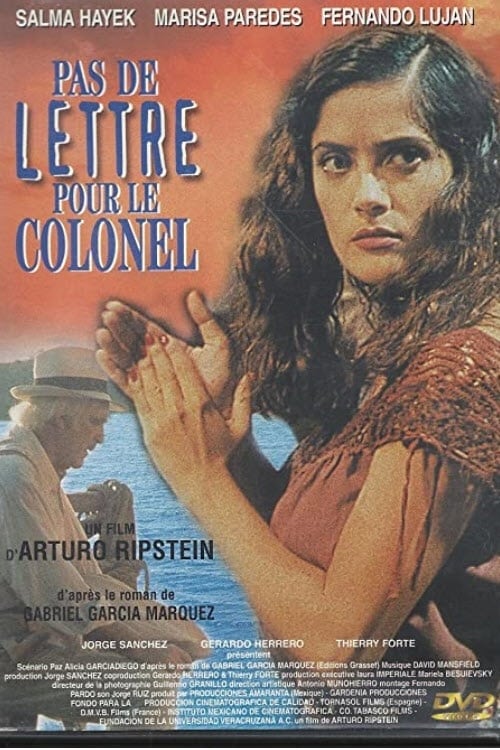 Jaquette Pas de lettre pour le colonel