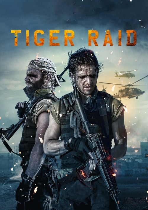 Jaquette Tiger Raid