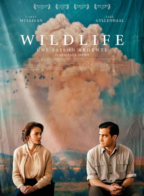Jaquette Wildlife : Une saison ardente