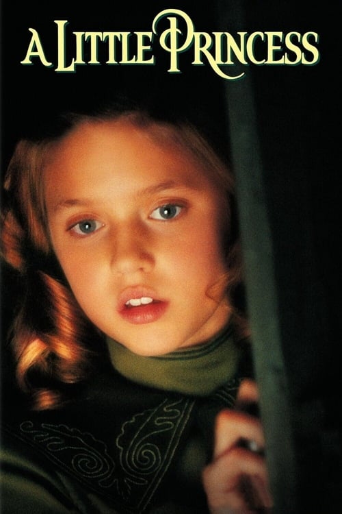 Jaquette La Petite princesse