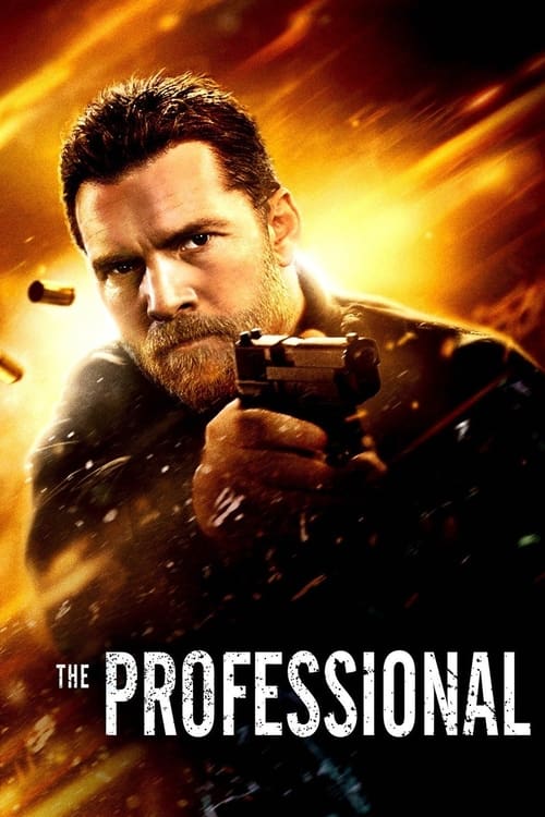 Jaquette The Professional