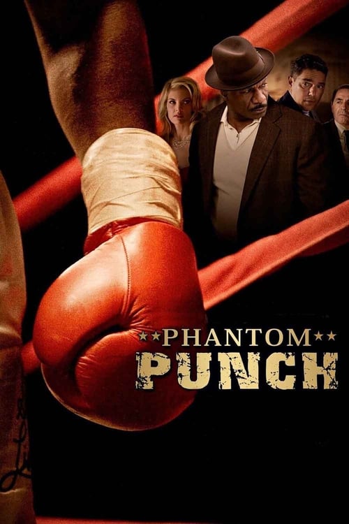 Jaquette Phantom Punch