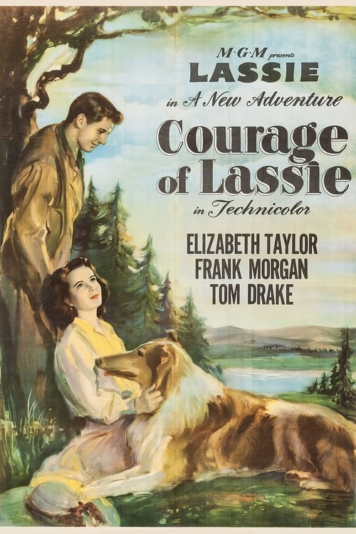 Jaquette Le courage de Lassie