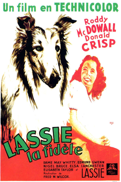 Jaquette Fidèle Lassie