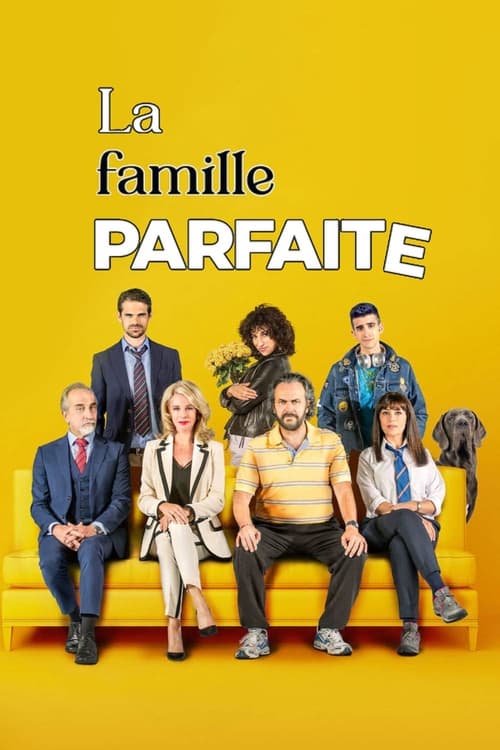 Jaquette La famille parfaite