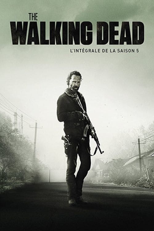 Jaquette The Walking Dead