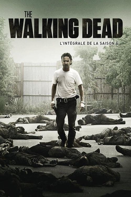 Jaquette The Walking Dead