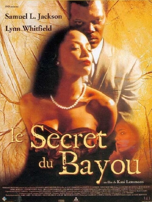 Jaquette Le Secret du bayou