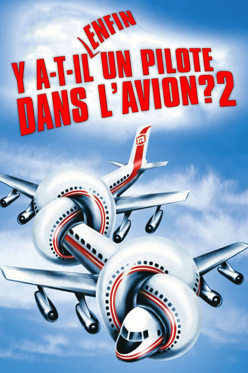 Jaquette Y a-t-il enfin un pilote dans l'avion ?