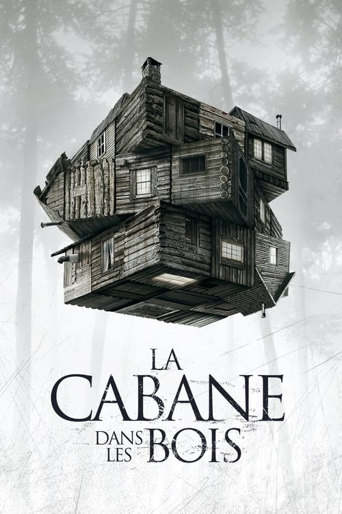 Jaquette La Cabane dans les bois
