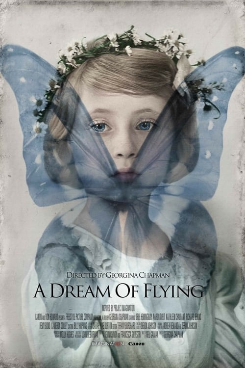Jaquette A Dream of Flying