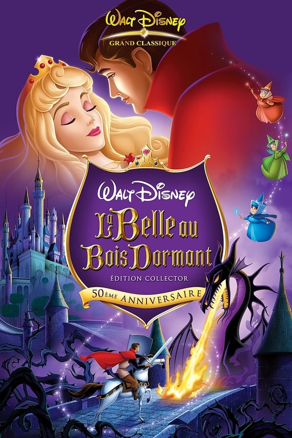 Jaquette La Belle au bois dormant