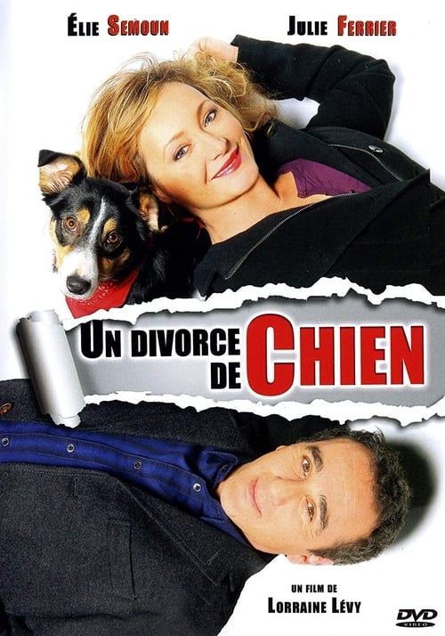 Jaquette Un divorce de chien