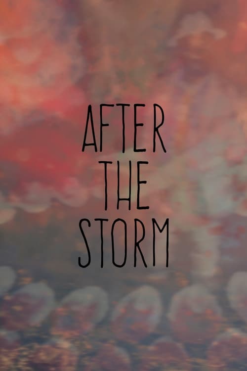 Jaquette After the Storm