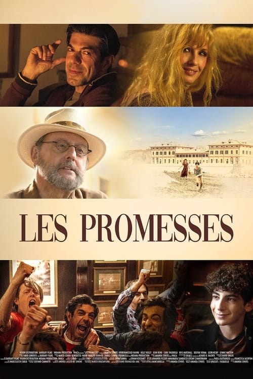 Jaquette Les Promesses