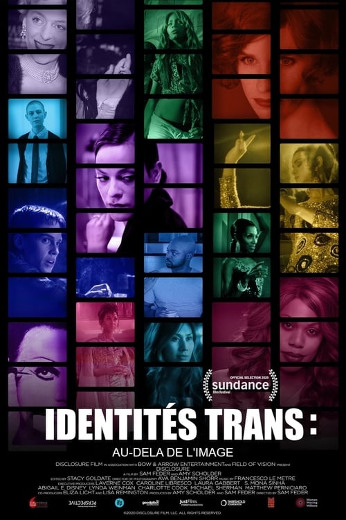 Jaquette Identités trans : Au-delà de l'image