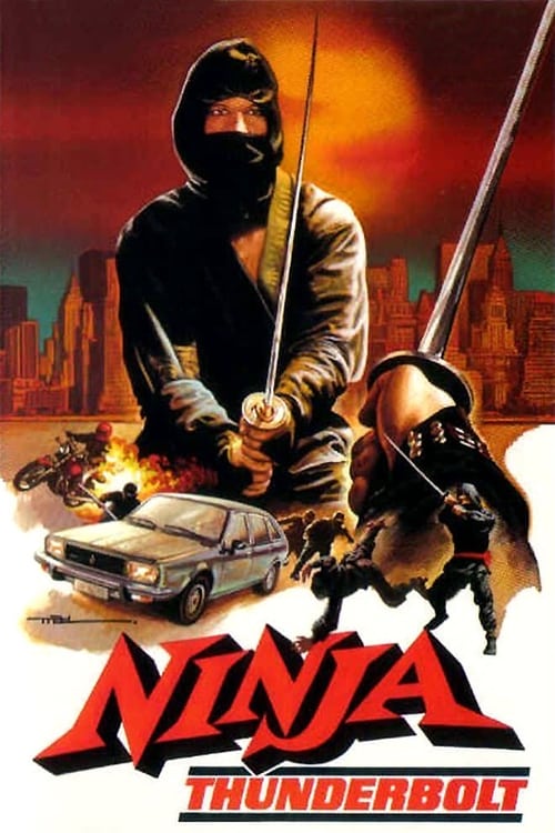 Jaquette Ninja Fury