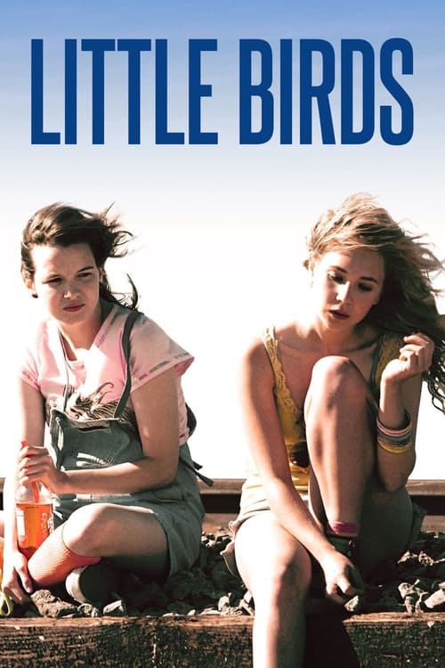 Jaquette Little Bird