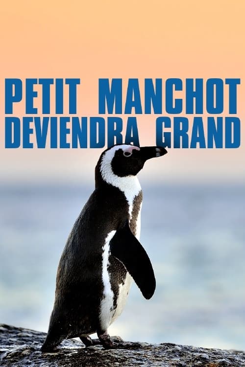 Jaquette Petit Manchot deviendra grand