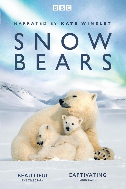 Jaquette Snow Bears