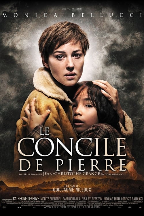 Jaquette Le Concile de pierre