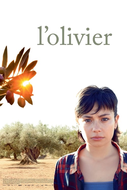 Jaquette L'Olivier