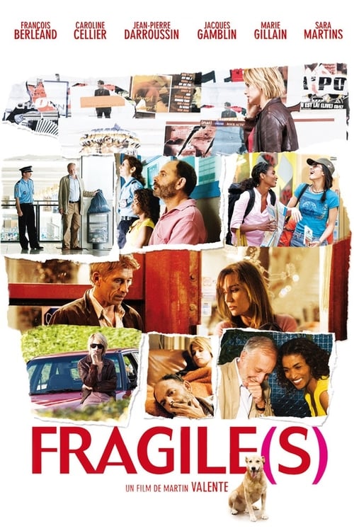 Jaquette Fragile(s)
