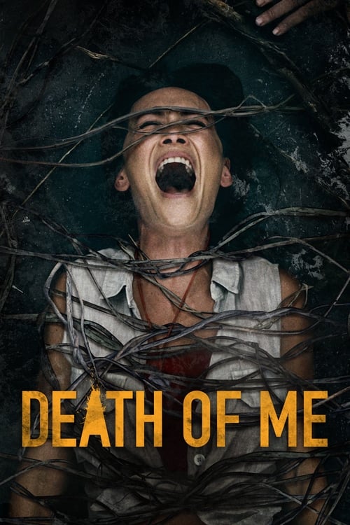 Jaquette Death of Me