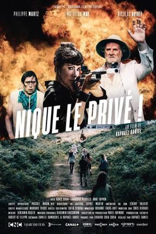Jaquette Nique le privé !