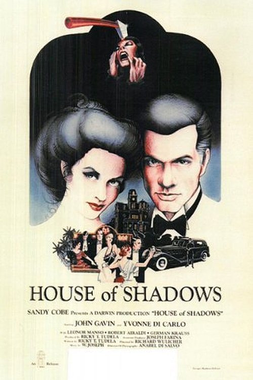 Jaquette La casa de las sombras
