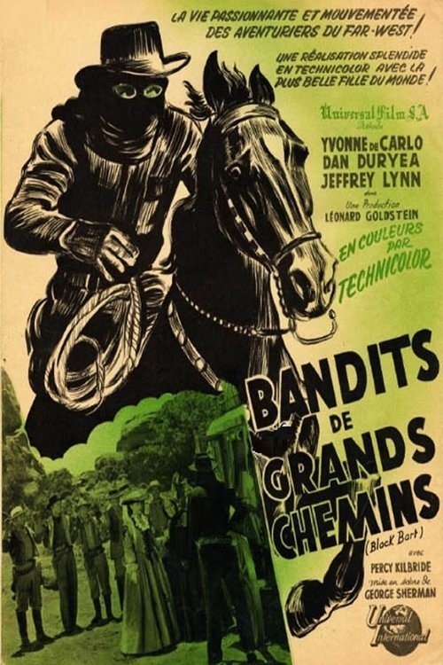 Jaquette Bandits de grands chemins