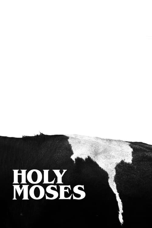 Jaquette Holy Moses