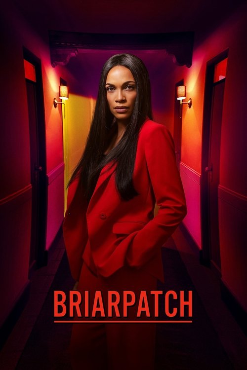 Jaquette Briarpatch