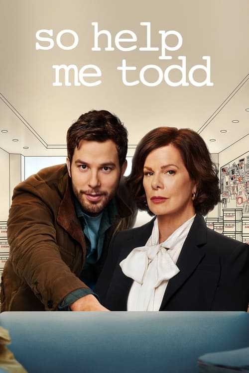Jaquette So Help Me Todd