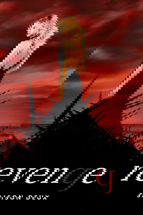 Jaquette Revenge