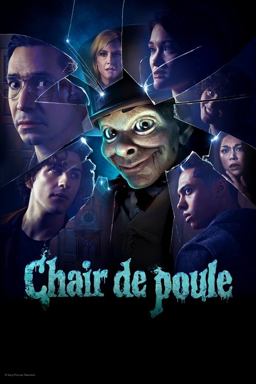 Jaquette Chair de poule