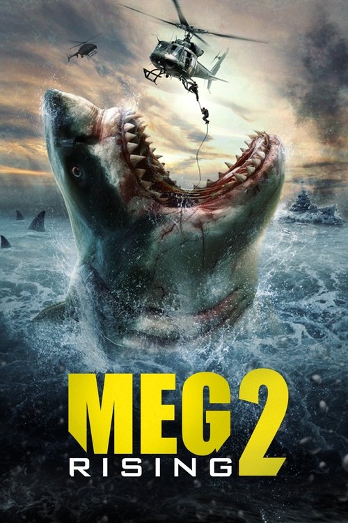 Jaquette Meg Rising 2