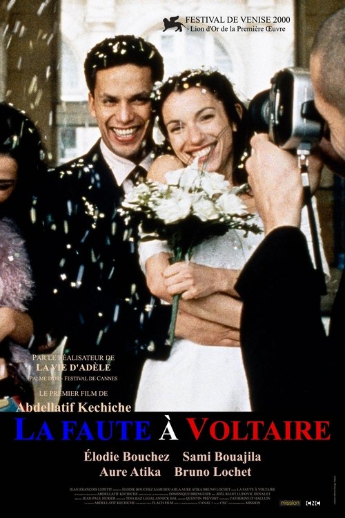 Jaquette La Faute à Voltaire