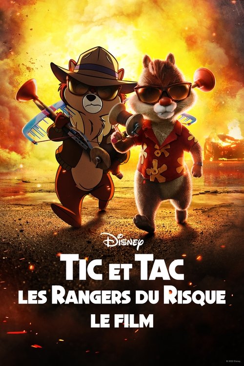 Jaquette Tic et Tac, les Rangers du Risque, Le Film