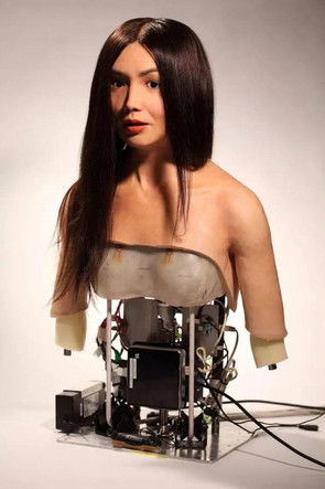 Jaquette Comment fabriquer un humain