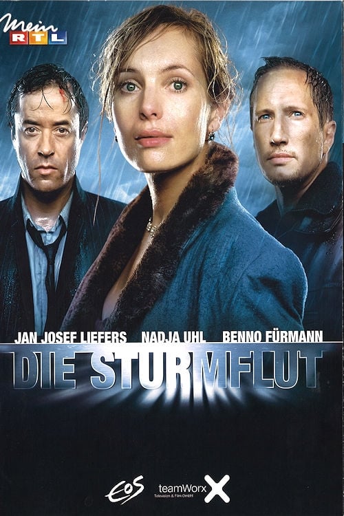 Jaquette Die Sturmflut
