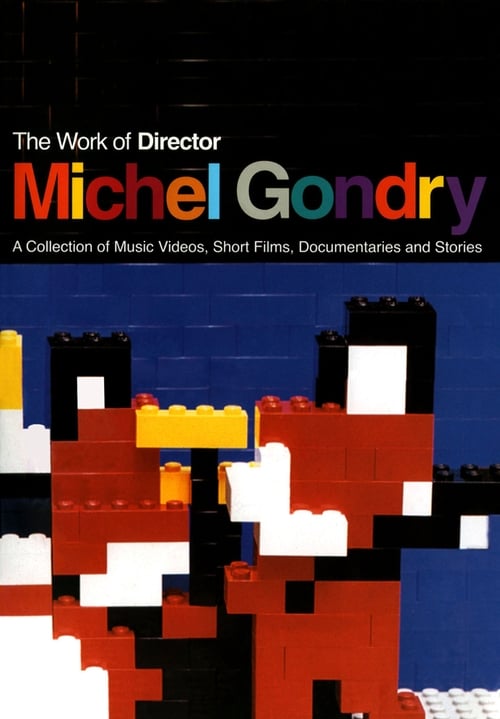 Jaquette The Work of Director Michel Gondry